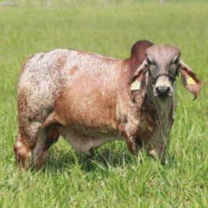 Meet your Posher, Moisés